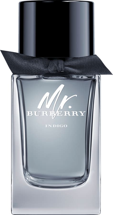 mr. burberry indigo eau de toilette - perfume masculino 100ml|burberry fragrance for men.